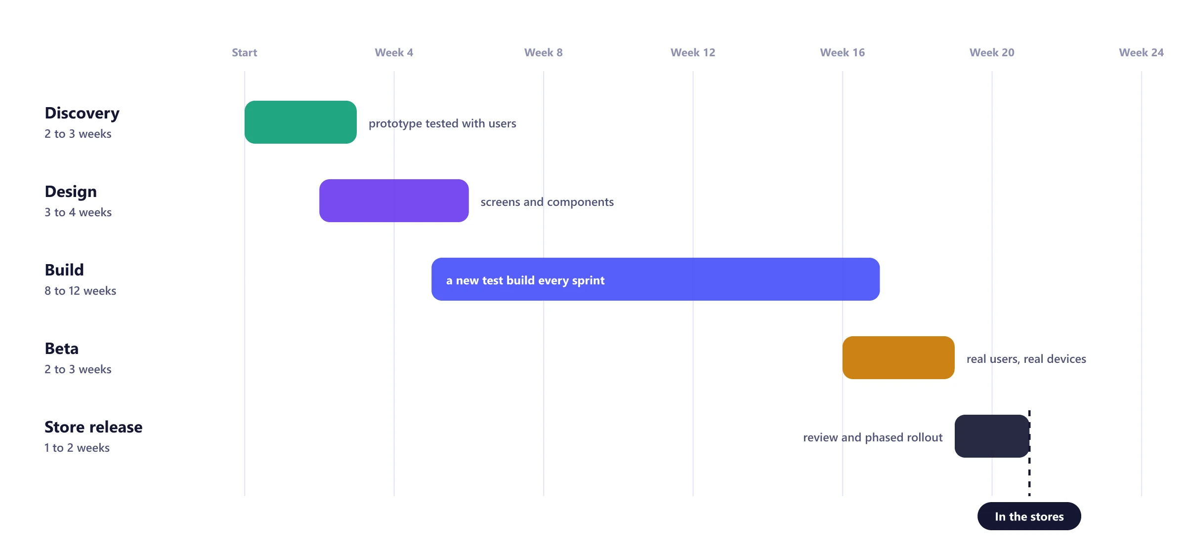Timeline of a Flutter app project from discovery and design through build, beta testing and store release over about five months