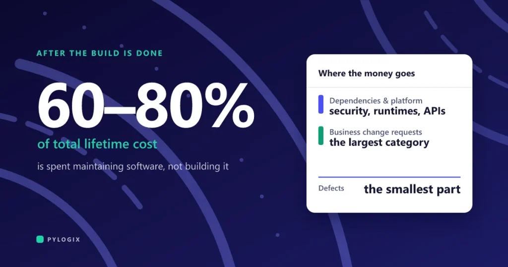 What software maintenance costs after launch